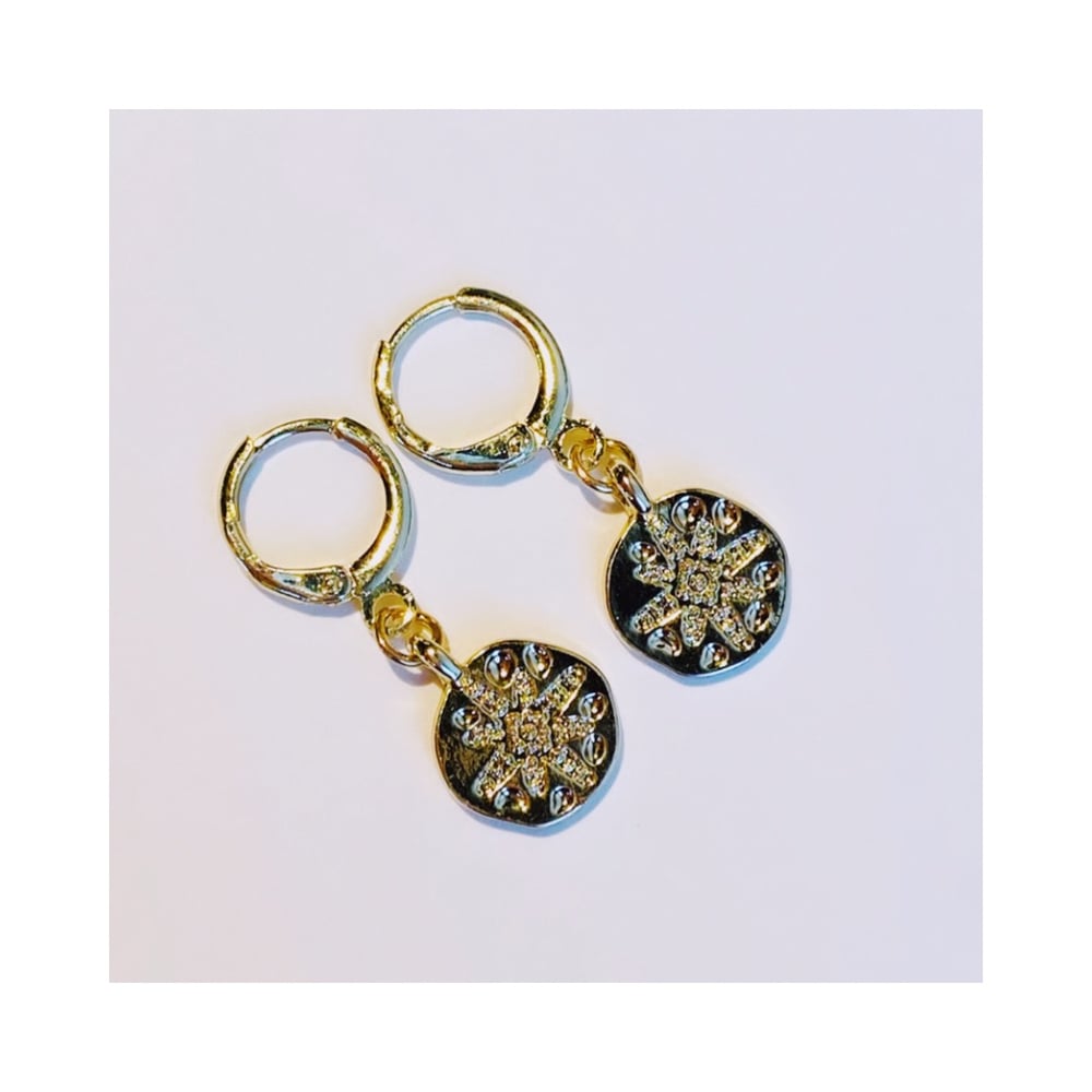 Image of Dazzle Earrings