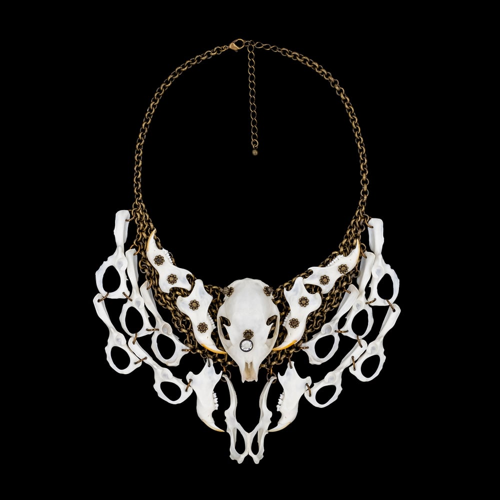 Image of "Ava" Squirrel Bone Necklace