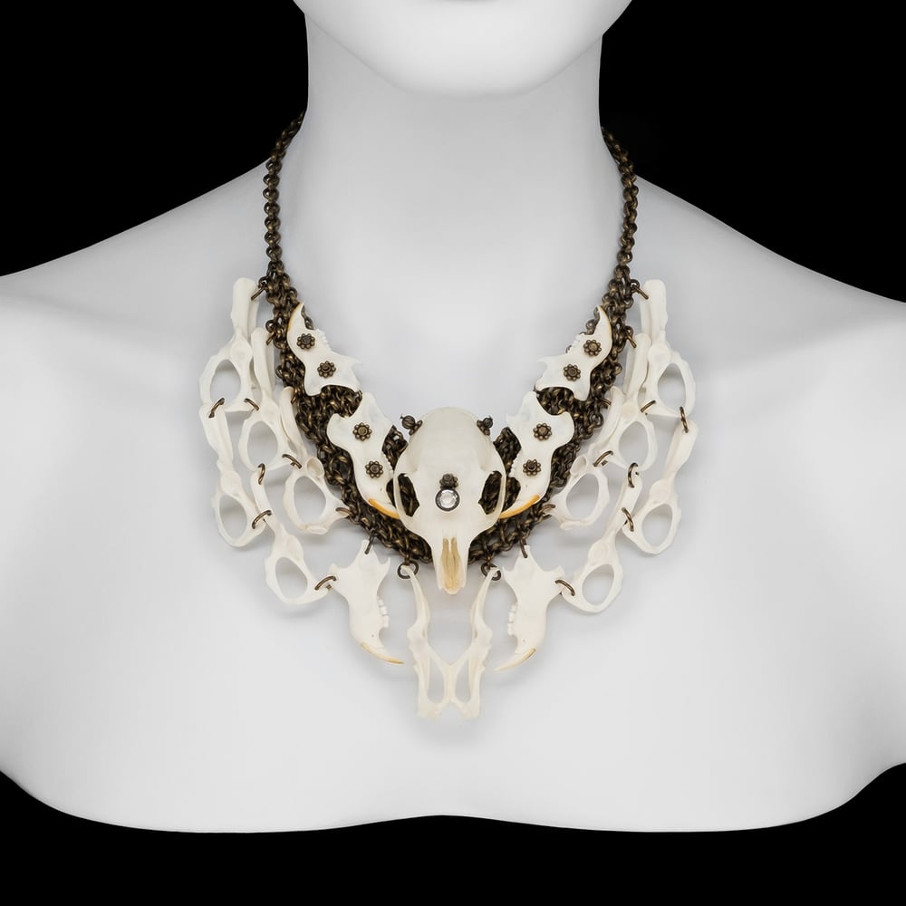 Image of "Ava" Squirrel Bone Necklace