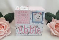 Image 1 of Personalised snow babies animal blocks,baby announcement blocks,new baby gift,baby snow babb nursery