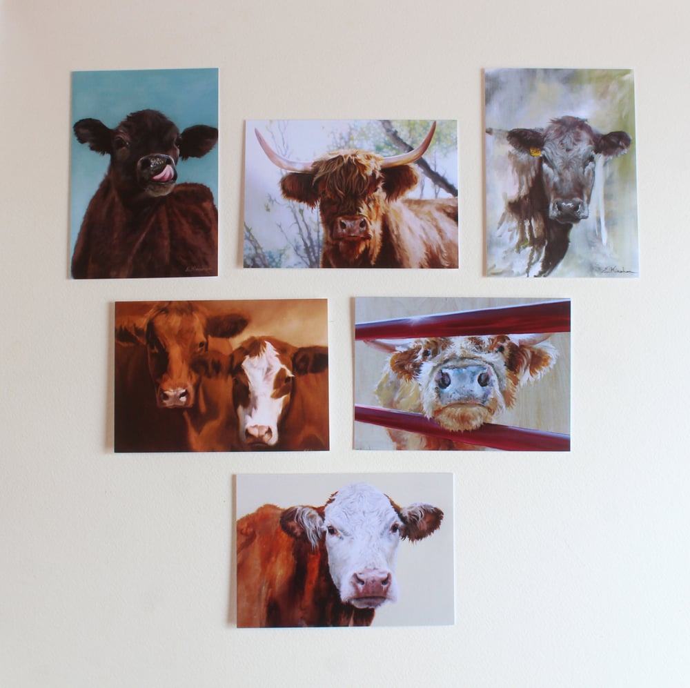 Image of Single Cow cards 