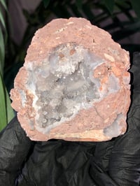 Image 3 of COCONUT GEODE (FACE POLISHED) - MEXICO 