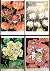 Image 2 of Jungle cat mini print set