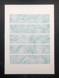 Image 1 of fields.005.03