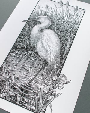 Little Egret Limited Edition Giclée Print