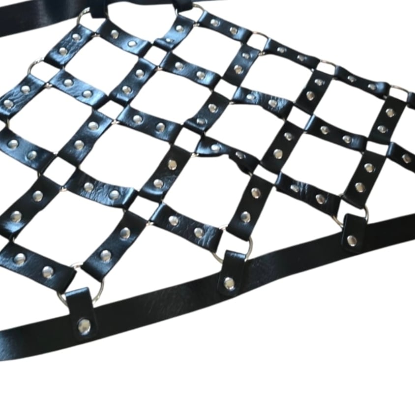 Image of Ritual Binding Harness