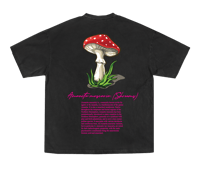 Image 2 of Shrooms Rogue