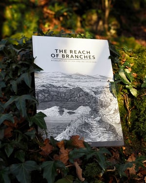 The Reach of Branches Hardback book
