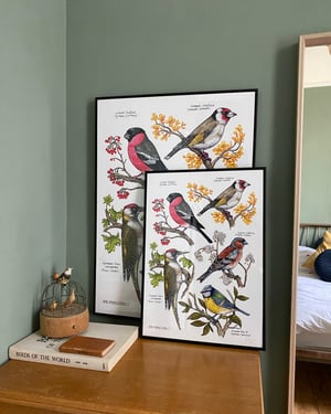 Birds of the Hedgerow Limited Edition Giclée Print 