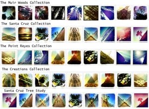 Image of Bundled Prints - Choose from 5 Collections of 9 Prints (4 Inch Prints)