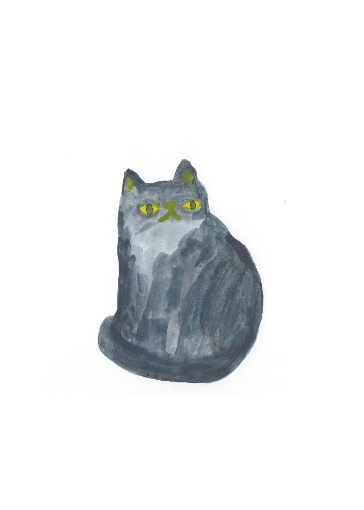 Image of Gray Cat