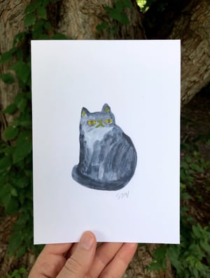 Image of Gray Cat