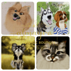 Digital Custom Pet Portrait