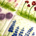 Flower Garden Coasters Set