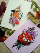 Image 2 of 3x postcards: colour animals set