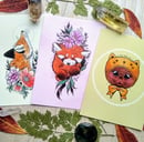 Image 1 of 3x postcards: colour animals set
