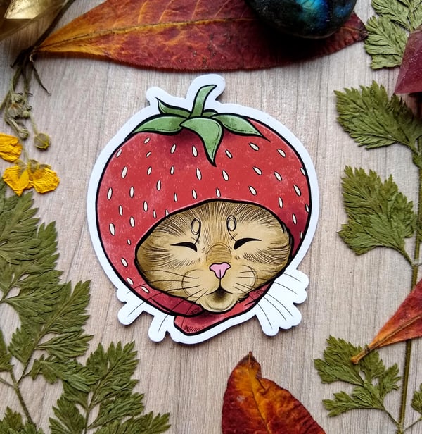 Image of Strawberry cat magnet
