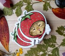 Image 2 of Strawberry cat magnet