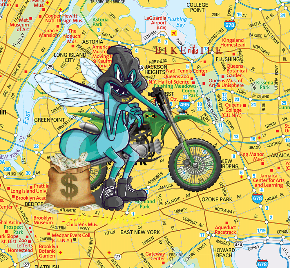 Bike Life | Stay Hungry | Collaboration | New York Edition 
