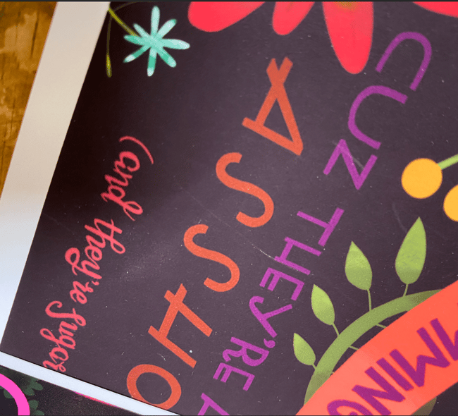 SALE: Standards of Hummingbirds/ slightly imperfect prints 