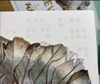 SALE: Cleverness & Wisdom: Overlooked Series/ lightly damaged & overstock prints 