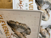 SALE: Cleverness & Wisdom: Overlooked Series/ lightly damaged & overstock prints 
