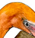 Image of Egret in the city, nature-inspired watercolor artwork