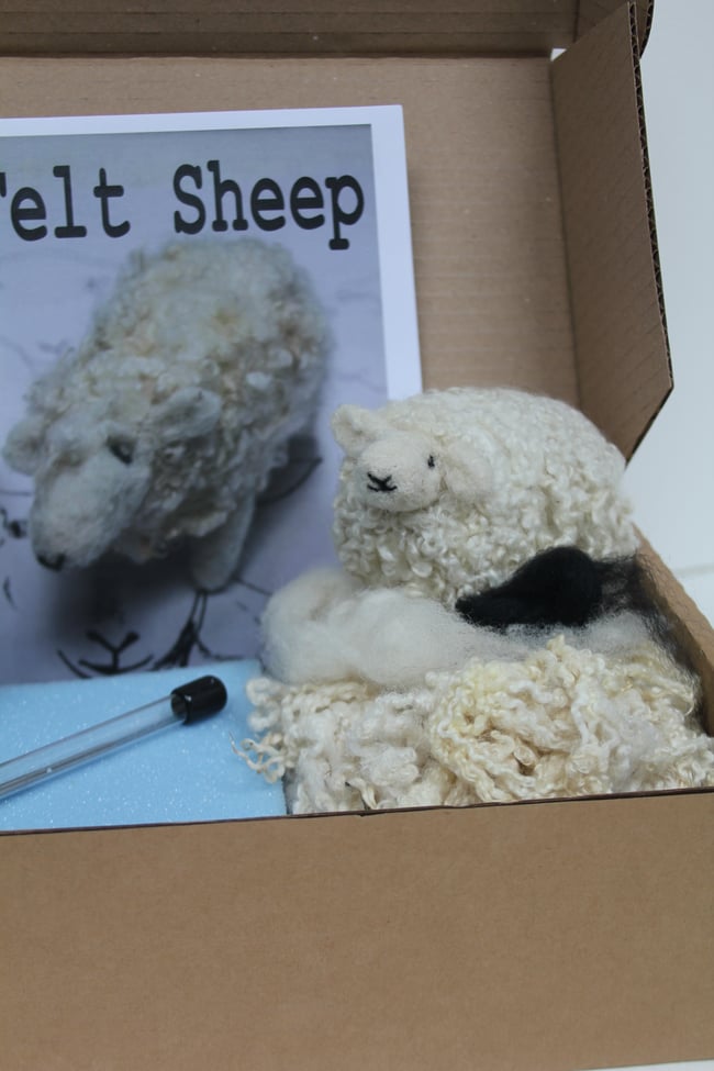 Needle felt a sheep kit
