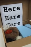 Brown hare needle felting kit