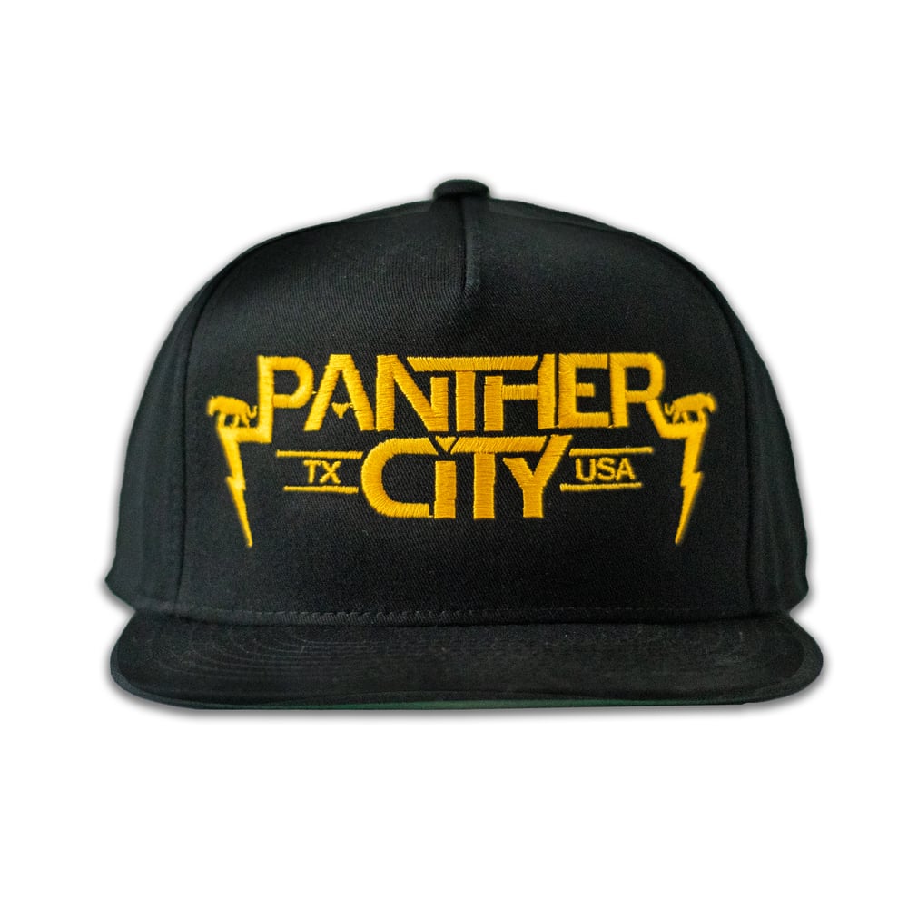 Image of Panther City Snapback