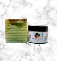 Eucalyptus  Kit