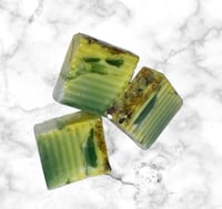 Eucalyptus 
