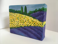 Image 2 of Sunflower and Lavender Fields