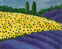 Image 1 of Sunflower and Lavender Fields