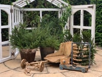 Image 4 of Wooden vintage  cart trolley brown &cappuccino