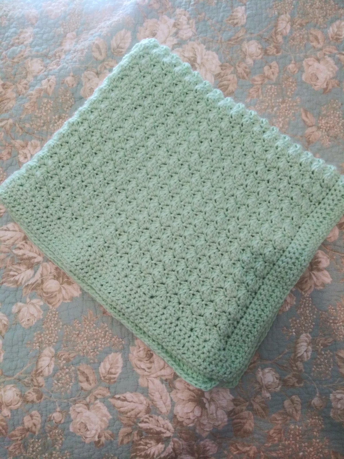 Mint discount baby blanket