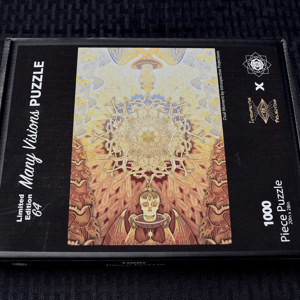 Image of "Dual Moment" Puzzle (Link in Description), w/ Many Visions