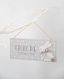 Dream Big Little One Plaque