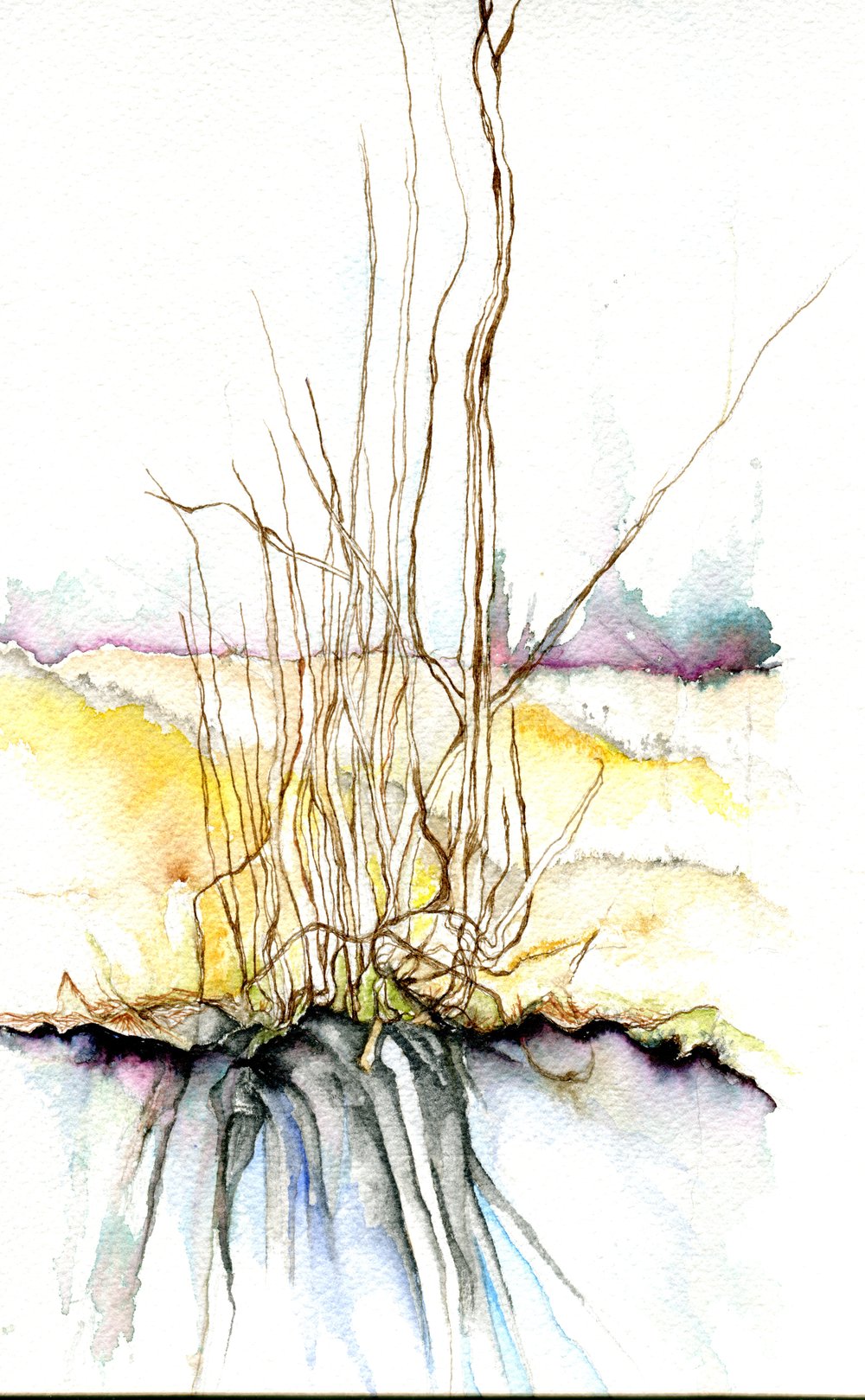 Image of Winnall Moors Nature Reserve Winchester no 2  watercolour painting