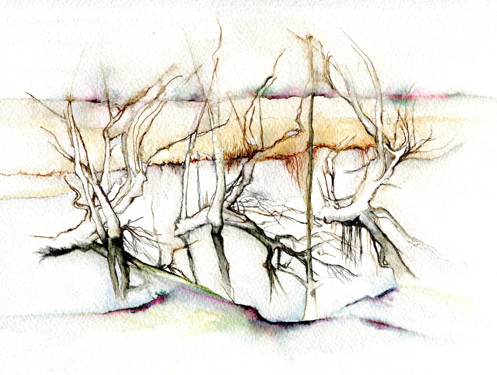 Image of Sunken Trees at Winnall Nature Reserve Winchester watercolour painting
