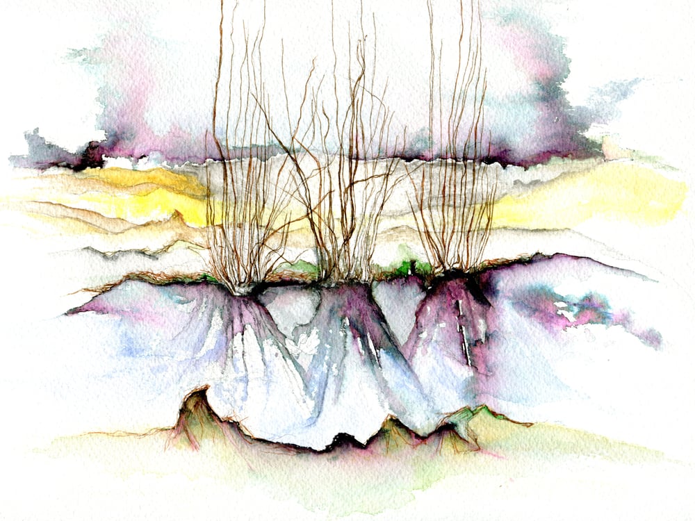 Image of Winnall Moors Nature Reserve, Winchester,  original watercolour painting