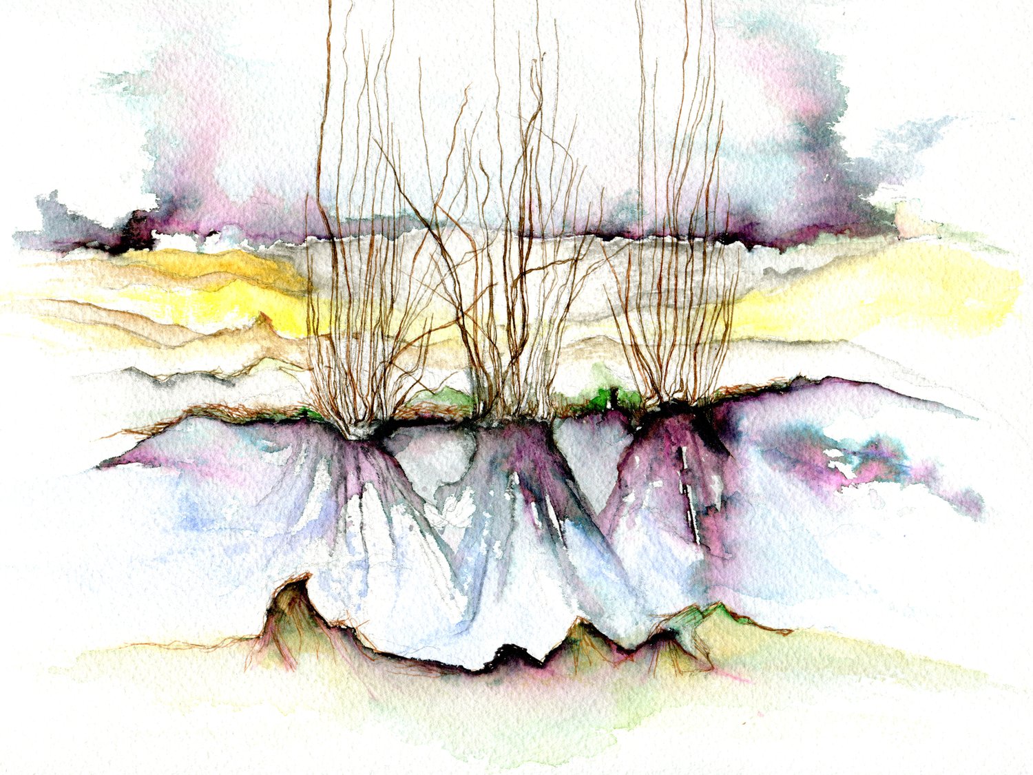 Image of Winnall Moors Nature Reserve, Winchester,  original watercolour painting