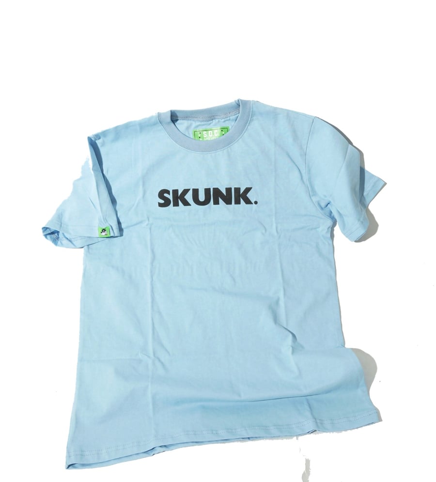 Image of Skunk the world tour tee (powder blue)