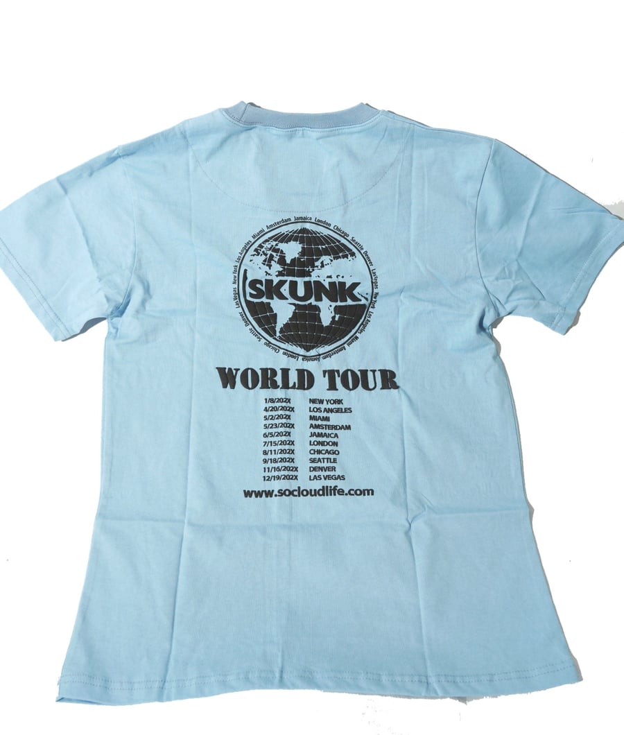 Image of Skunk the world tour tee (powder blue)