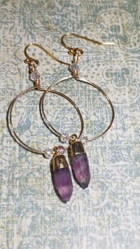 Image 3 of Fluorite Earrings