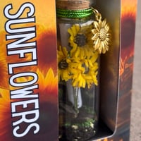 Image 3 of Sunflowers ( Large) - Message in a Bottle