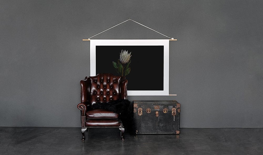 Image of Nature Study - Protea