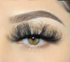 Dramatica Lash