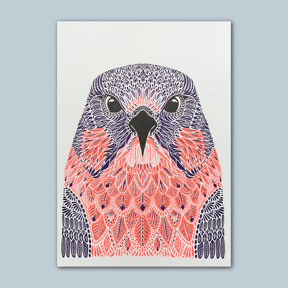 Image of Hawk Riso