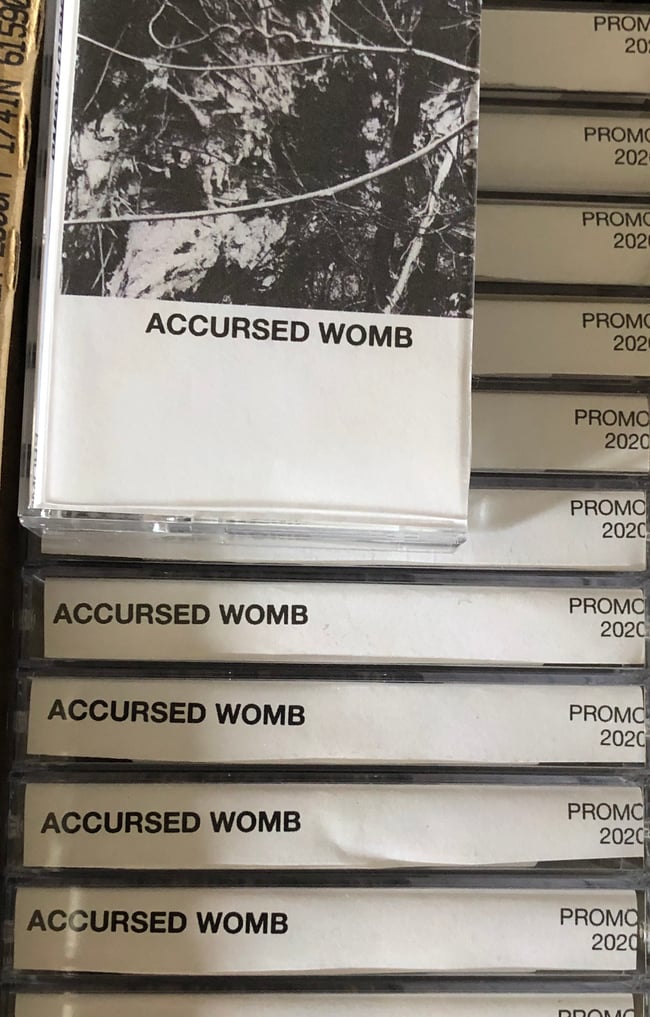 Accursed Womb Promo 2020